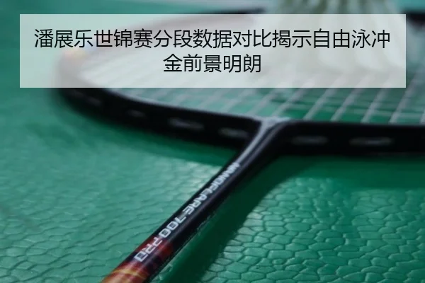 潘展乐世锦赛分段数据对比揭示自由泳冲金前景明朗